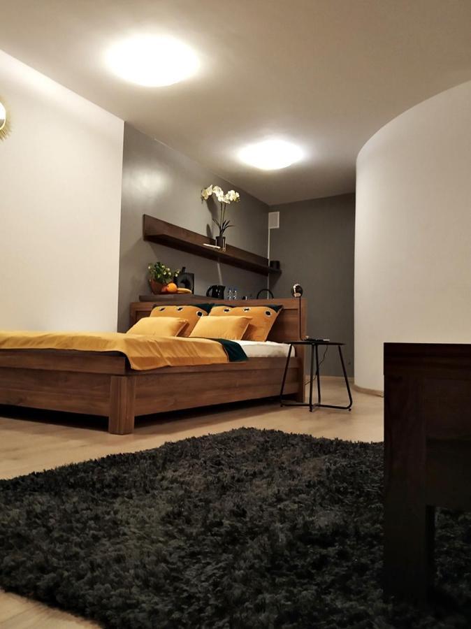 Downtown Studio Apartment Zielona Gora  Exterior photo